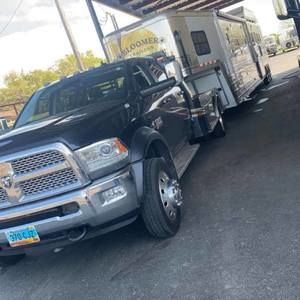 Meet your Posher, Michelle